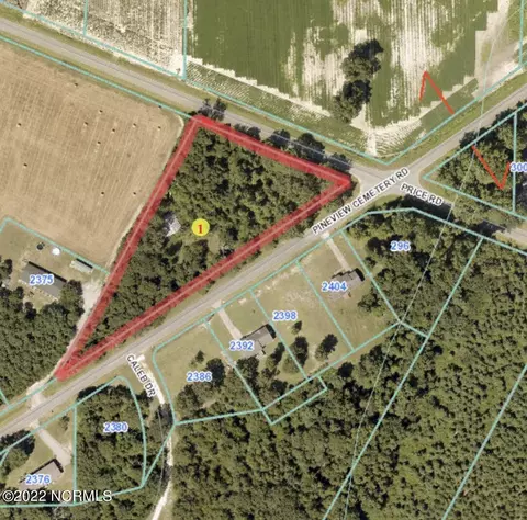 0 Pineview Cemetery Rd, Seven Springs, NC 28578