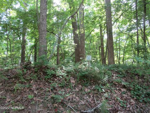 31 Hill Creek Rd, Blounts Creek, NC 27814