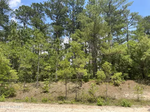 1041 Sorrell Dr, Vass, NC 28394