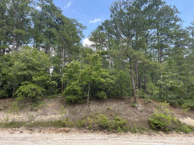 1047 Sorrel Dr, Vass, NC 28394