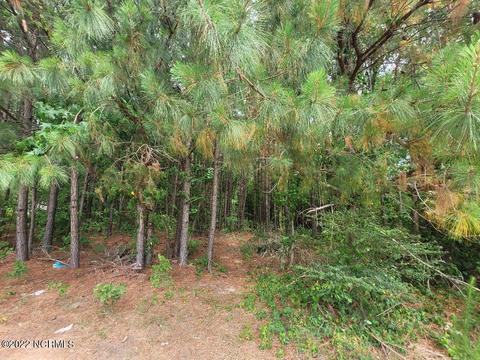 Lt18 Dunwoody Drive, Pikeville, NC 27863