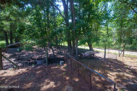 176 Dails Ln, Richlands, NC 28574 photo 41