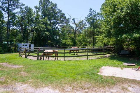 176 Dails Ln, Richlands, NC 28574 photo 37