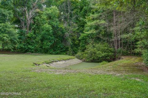 7005 Schooners Rd, Bailey, NC 27807 photo 12