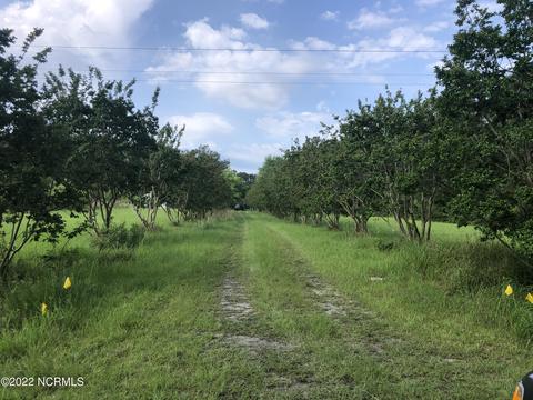 914 Wheat Patch Rd, Belhaven, NC 27810 photo 1