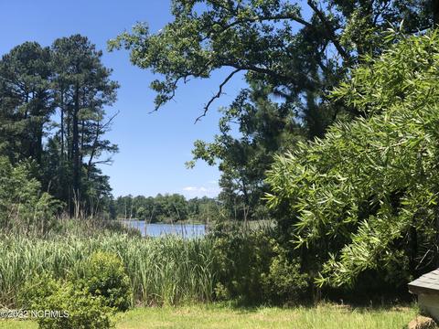 914 Wheat Patch Rd, Belhaven, NC 27810 photo 3