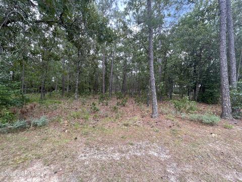 47 Whitehaven Dr, Pinehurst, NC 28374 photo 7