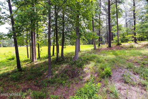 559 Longleaf Dr, West End, NC 27376 photo 4