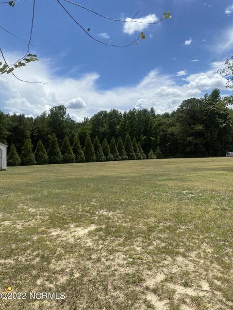 8136 Craig Ct, Bailey, NC 27807 photo 7