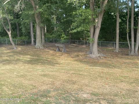 7041 Windy Ct E, Bailey, NC 27807 photo 7