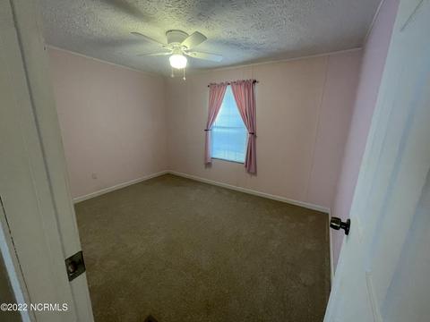 7041 Windy Ct E, Bailey, NC 27807 photo 18