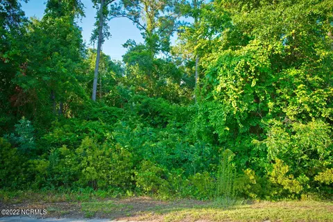402 Raeford Rd, Hampstead, NC 28443 photo 1