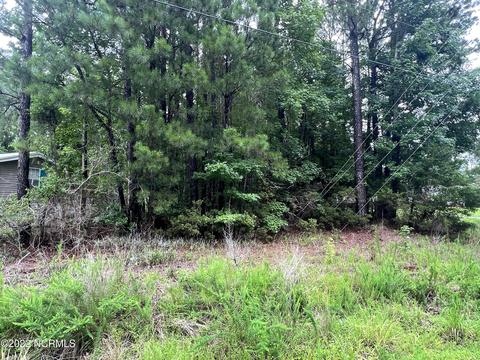 lot22 Doe Rdg, Hampstead, NC 28443