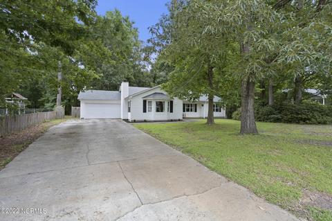 303 Eider Loop, Jacksonville, NC 28540 photo 4