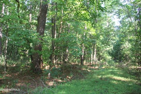 0 E Wilmington Street Extension St, Burgaw, NC 28425
