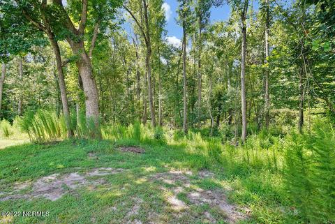 250 Mare Pond Pl, Hampstead, NC 28443 photo 65