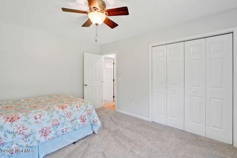 250 Mare Pond Pl, Hampstead, NC 28443 photo 43