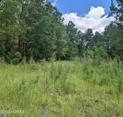00 Whitestocking Rd, Burgaw, NC 28425