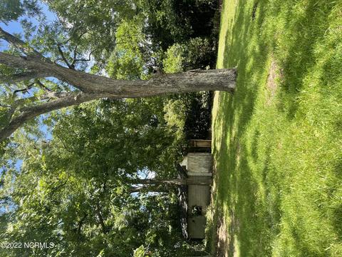 304 Monroe Ave, Hamlet, NC 28345 photo 7