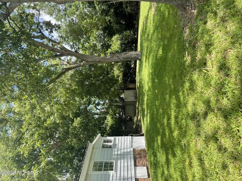 304 Monroe Ave, Hamlet, NC 28345 photo 5