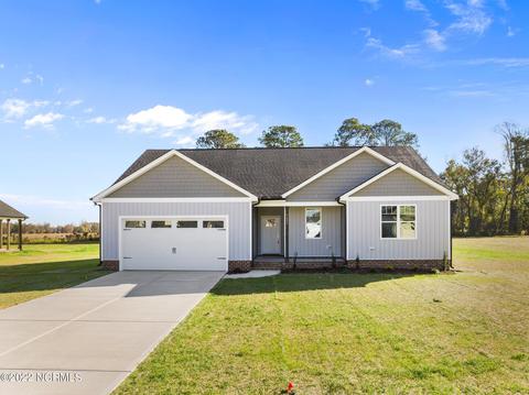 9695 Chapman Rd, Bailey, NC 27807 photo 1