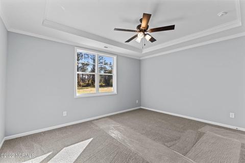 9695 Chapman Rd, Bailey, NC 27807 photo 19