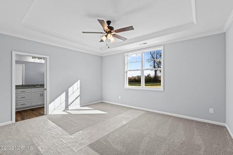 9695 Chapman Rd, Bailey, NC 27807 photo 18