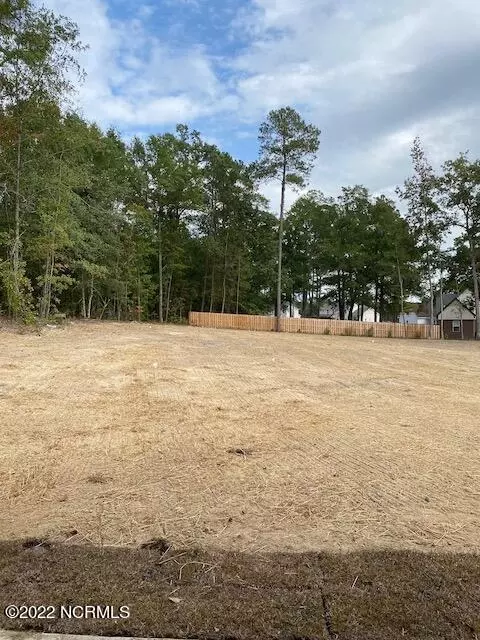 211 B B Loop, Raeford, NC 28376 photo 41