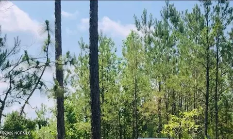 533 Padgett Rd, Maple Hill, NC 28454 photo 3