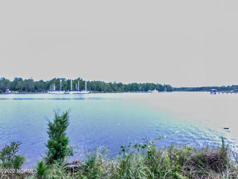 88 Half Moon Rd, Mesic, NC 28515 photo 30