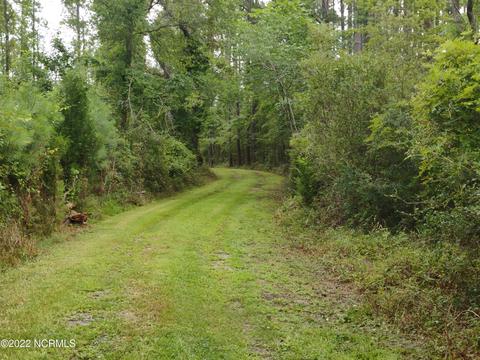 88 Half Moon Rd, Mesic, NC 28515 photo 27