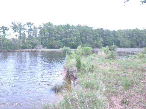 88 Half Moon Rd, Mesic, NC 28515 photo 31