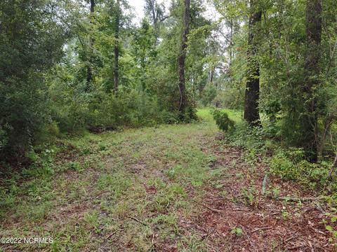 88 Half Moon Rd, Mesic, NC 28515 photo 29
