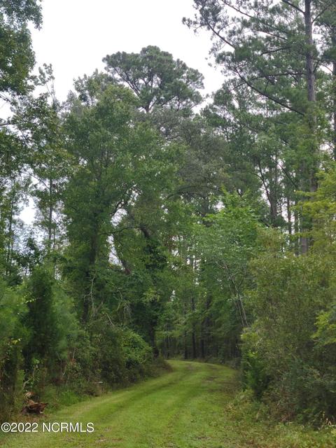88 Half Moon Rd, Mesic, NC 28515 photo 26