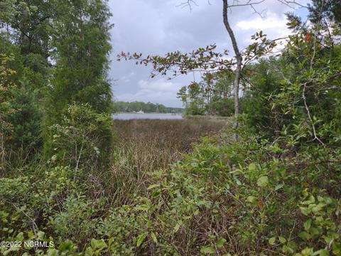 88 Half Moon Rd, Mesic, NC 28515 photo 33