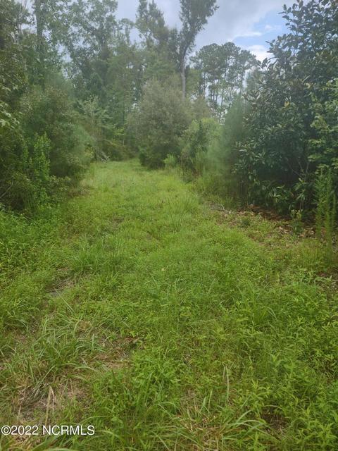 88 Half Moon Rd, Mesic, NC 28515 photo 35