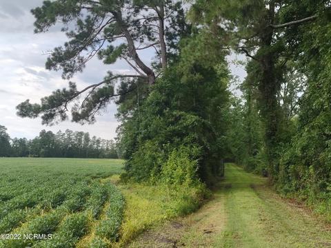 88 Half Moon Rd, Mesic, NC 28515 photo 5