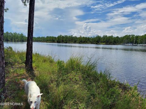 88 Half Moon Rd, Mesic, NC 28515 photo 12