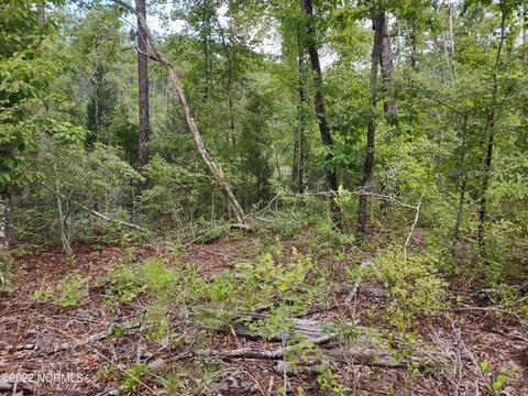 88 Half Moon Rd, Mesic, NC 28515 photo 34