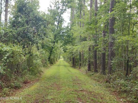 88 Half Moon Rd, Mesic, NC 28515 photo 36