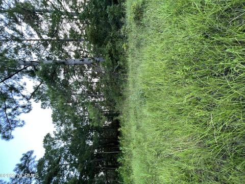 393 Sherrow River Dr SW, Shallotte, NC 28470