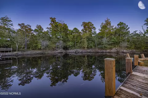 207 River Haven Ln, Harrells, NC 28444 photo 3