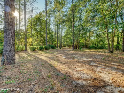 207 River Haven Ln, Harrells, NC 28444 photo 6