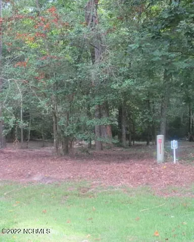 lot91 Waters Edge Dr, Chocowinity, NC 27817 photo 3