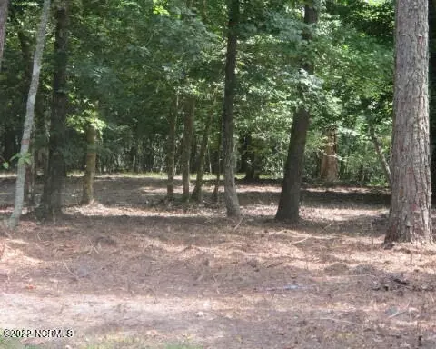 lot91 Waters Edge Dr, Chocowinity, NC 27817 photo 6