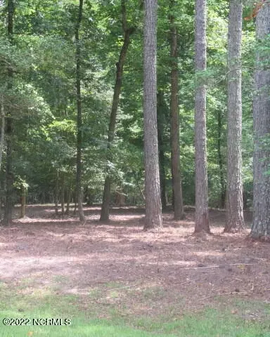 lot91 Waters Edge Dr, Chocowinity, NC 27817 photo 4