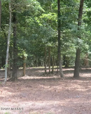 lot91 Waters Edge Dr, Chocowinity, NC 27817 photo 5