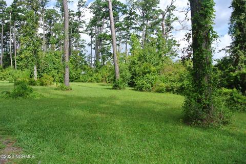 259 Schaaf Ln, Gloucester, NC 28528 photo 11