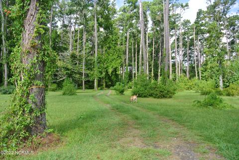 259 Schaaf Ln, Gloucester, NC 28528 photo 10