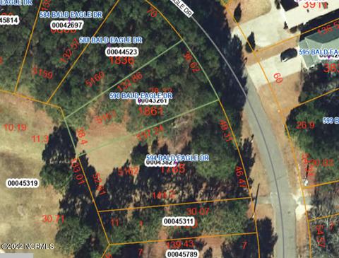 590 Bald Eagle Dr, Vass, NC 28394 photo 1